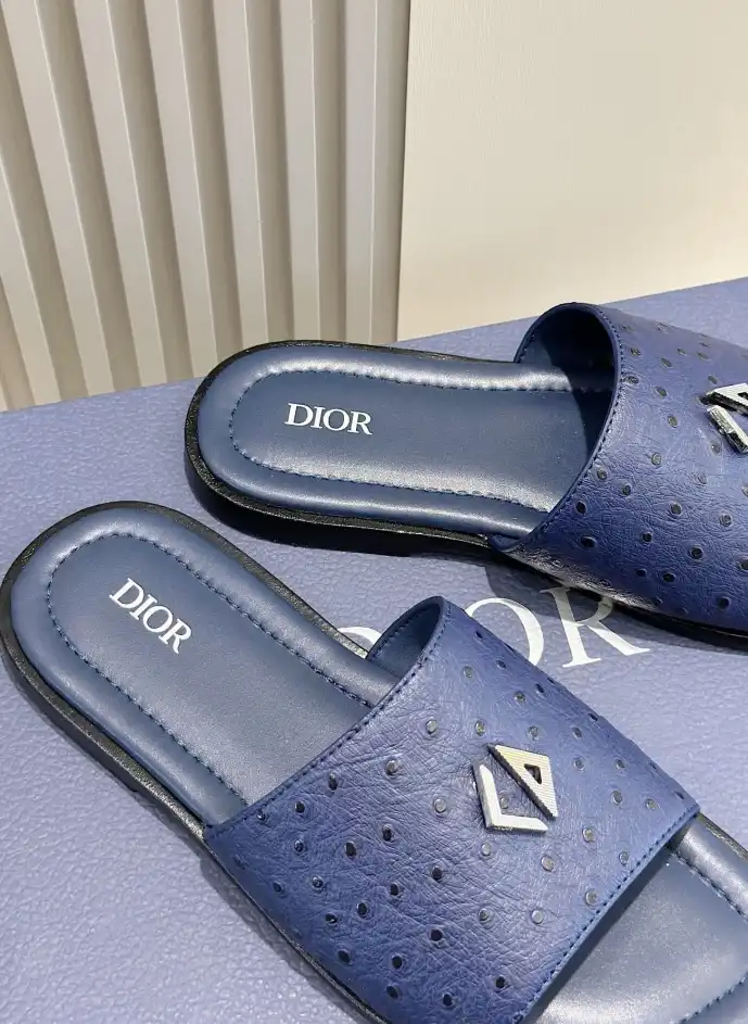 hype Christian Dior Slippers