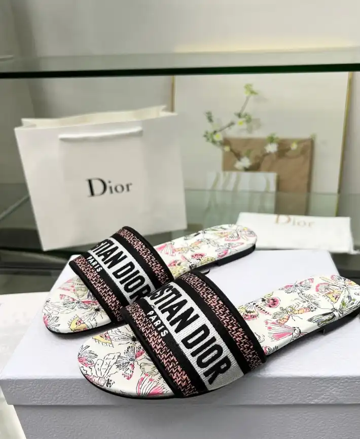 hype Christian Dior Slippers