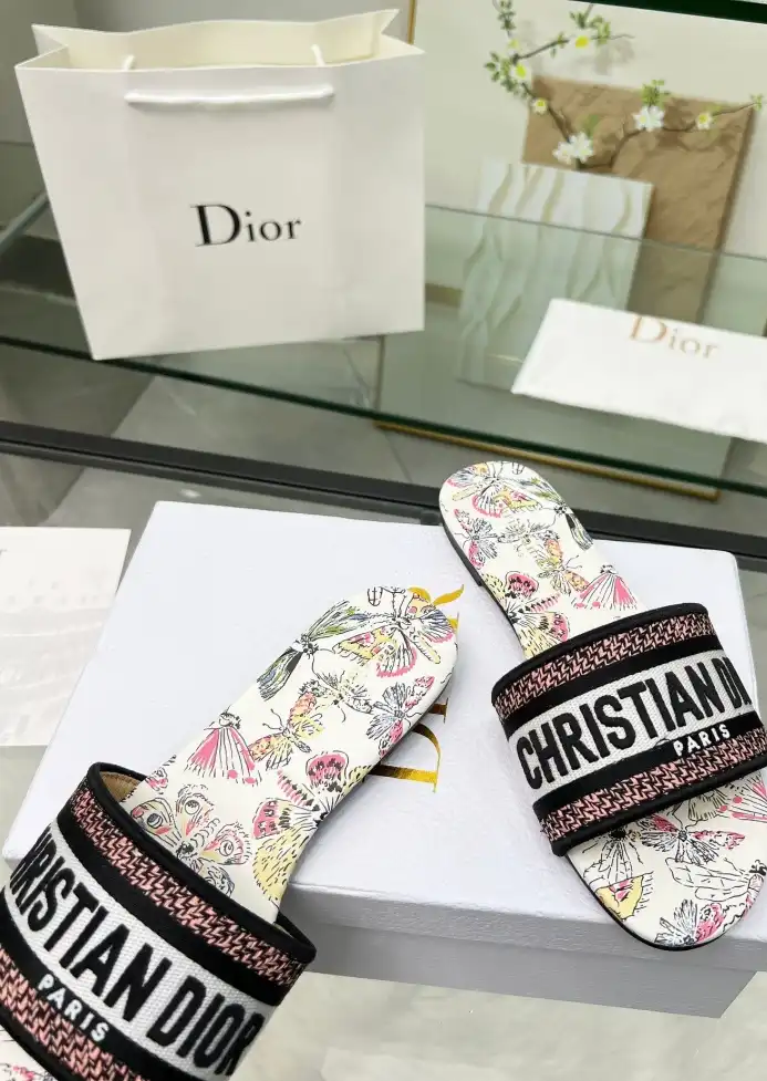 hype Christian Dior Slippers