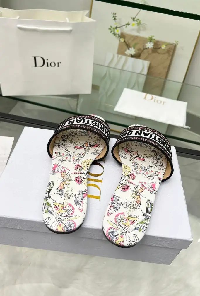 hype Christian Dior Slippers