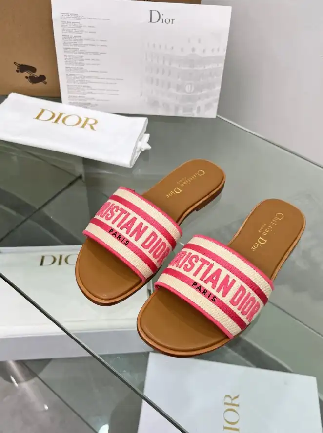 hype Christian Dior Slippers