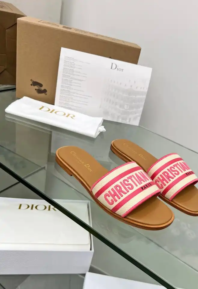 hype Christian Dior Slippers