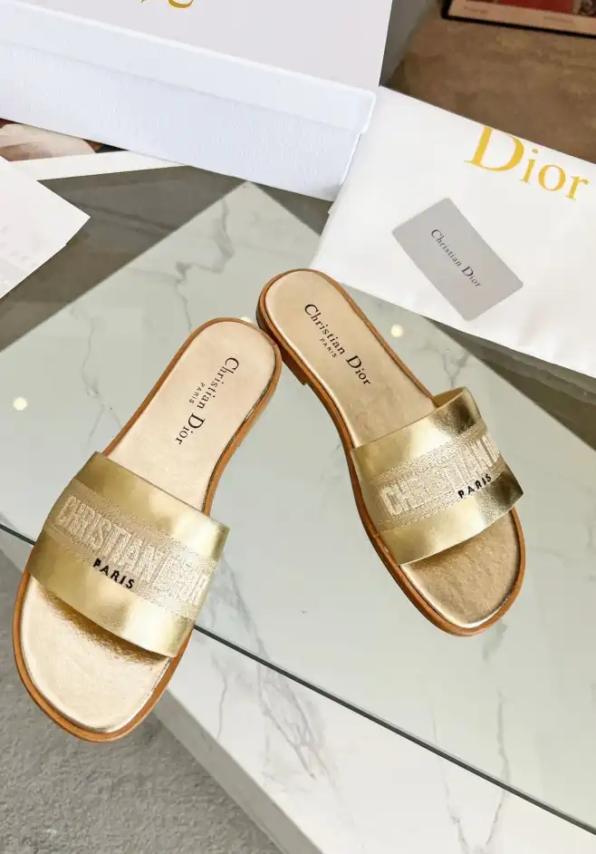 hype Christian Dior Slippers