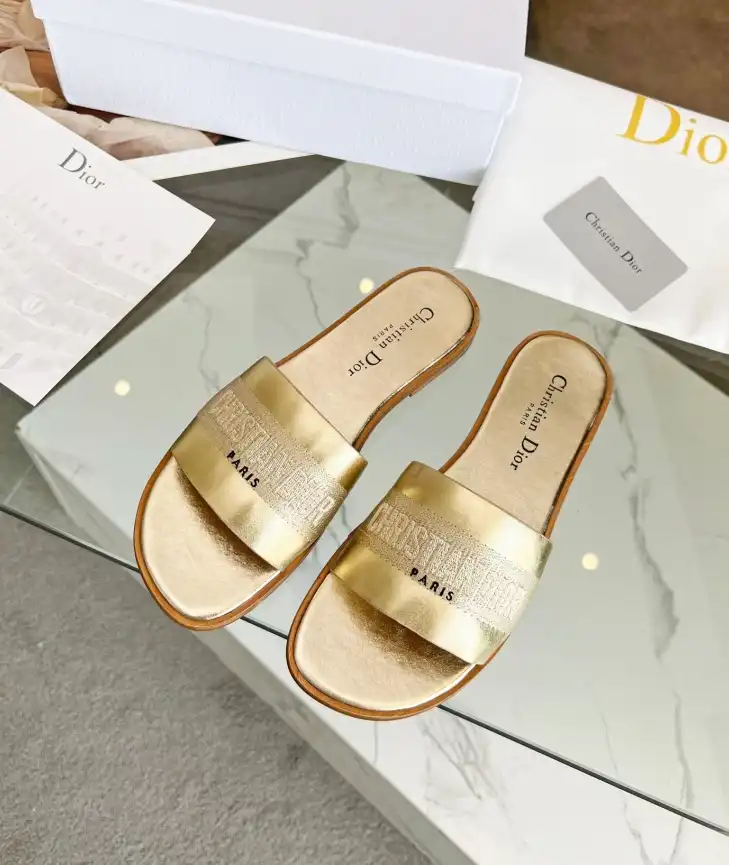 hype Christian Dior Slippers