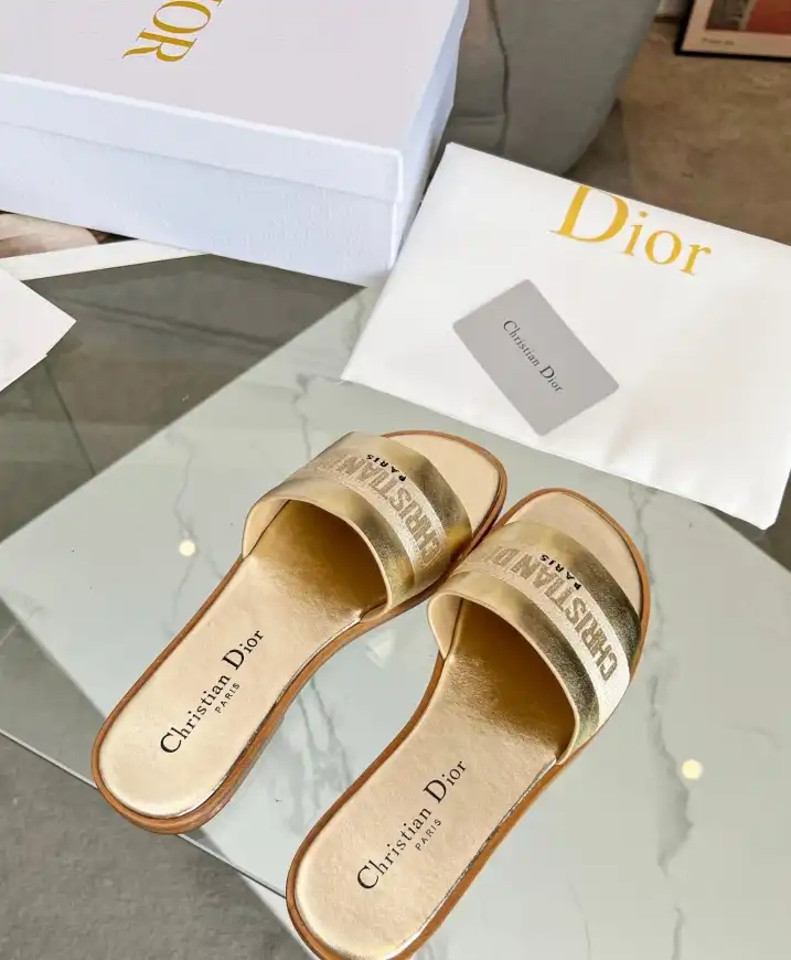 hype Christian Dior Slippers