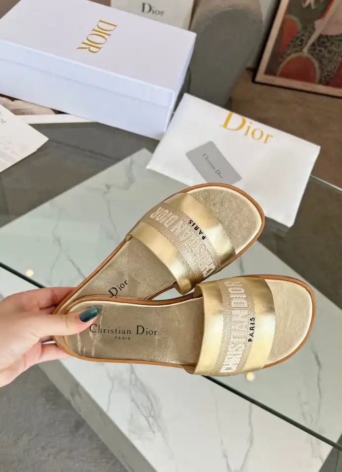 hype Christian Dior Slippers