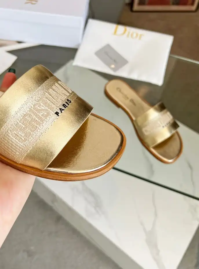 hype Christian Dior Slippers