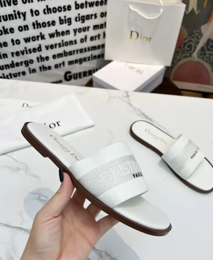 hype Christian Dior Slippers