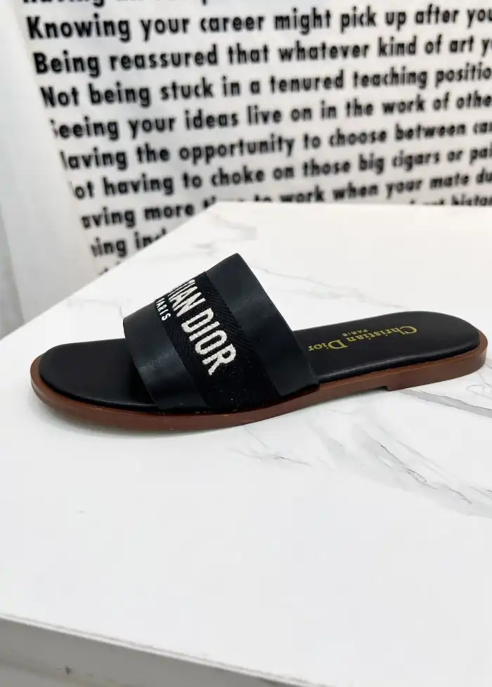 hype Christian Dior Slippers