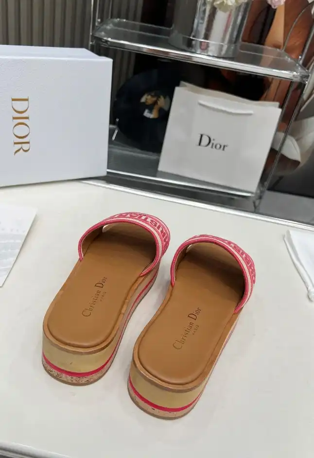 hype Christian Dior Slippers