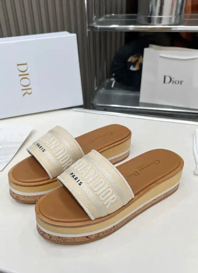 hype Christian Dior Slippers