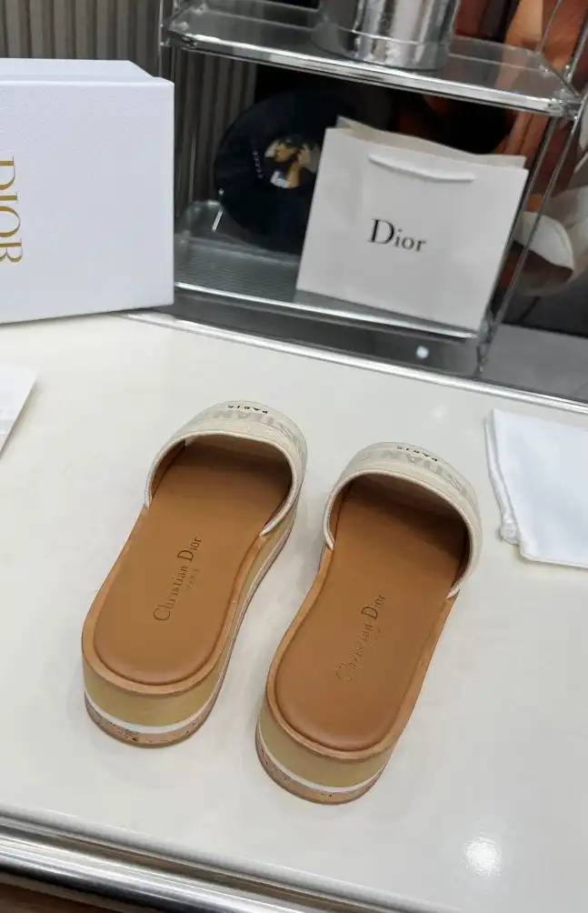 hype Christian Dior Slippers