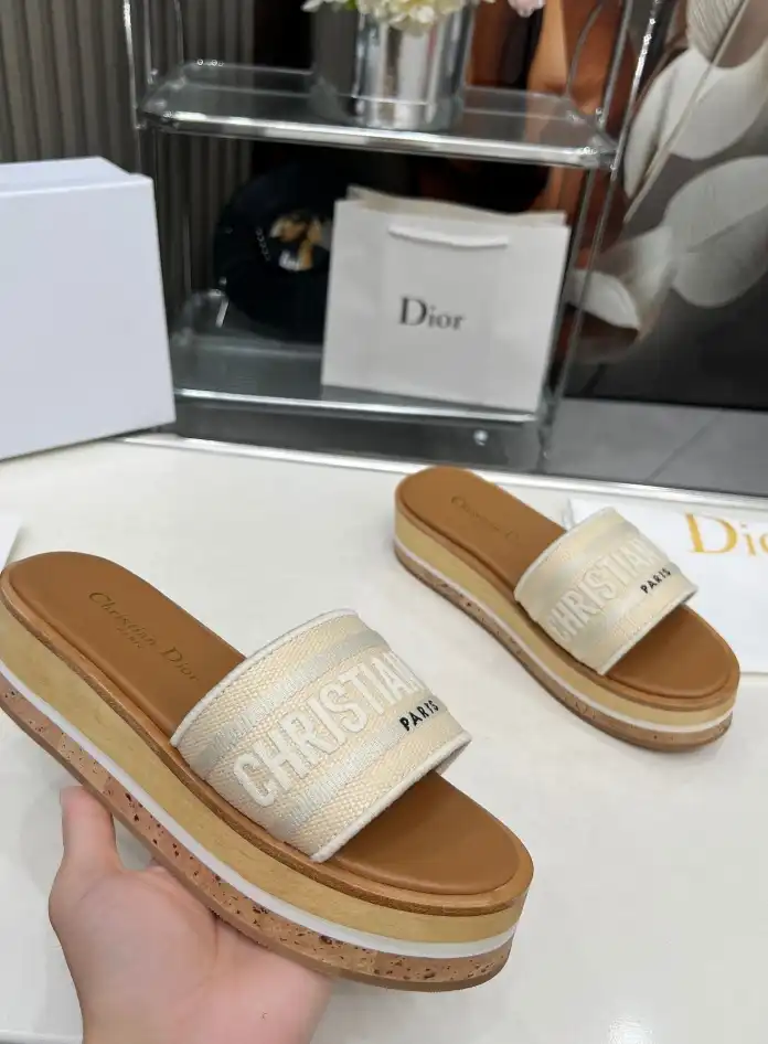 hype Christian Dior Slippers