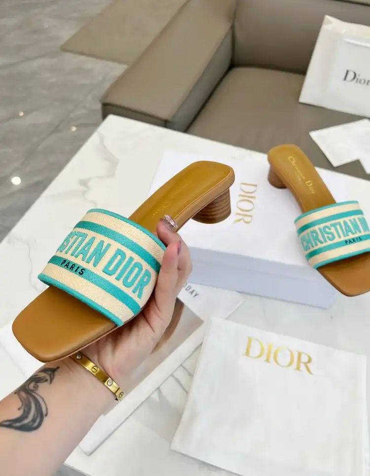 hype Christian Dior Slippers