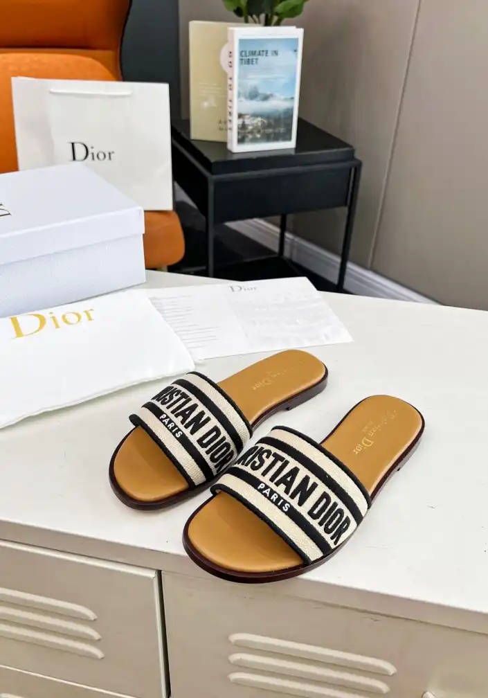 hype Christian Dior Slippers