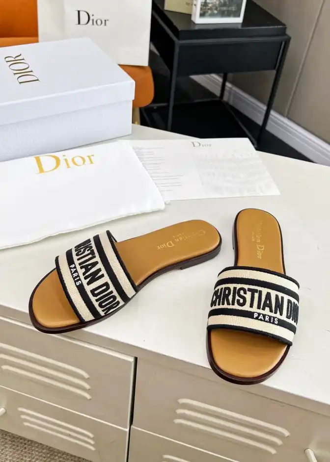 hype Christian Dior Slippers