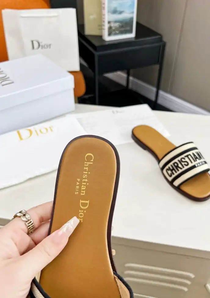 hype Christian Dior Slippers