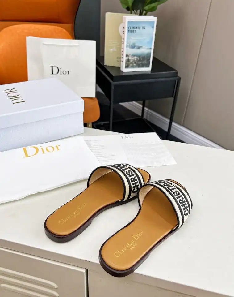 hype Christian Dior Slippers