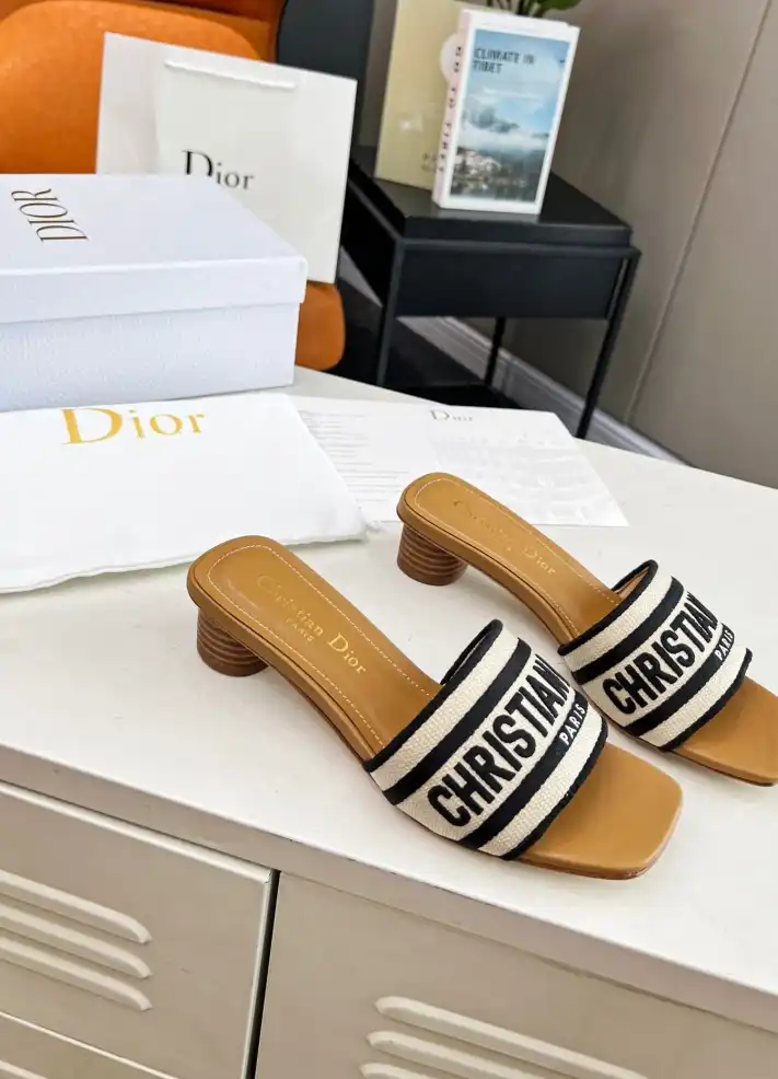 hype Christian Dior Slippers