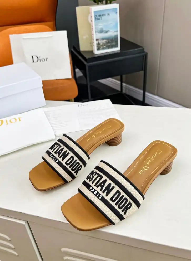 hype Christian Dior Slippers