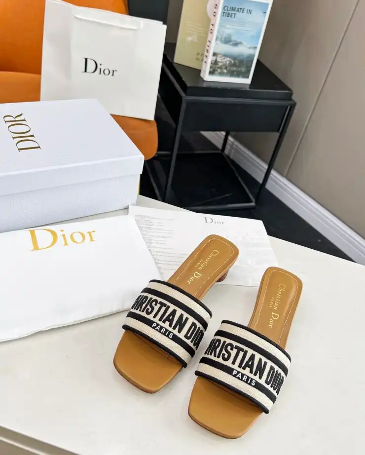 hype Christian Dior Slippers