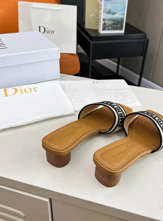 hype Christian Dior Slippers