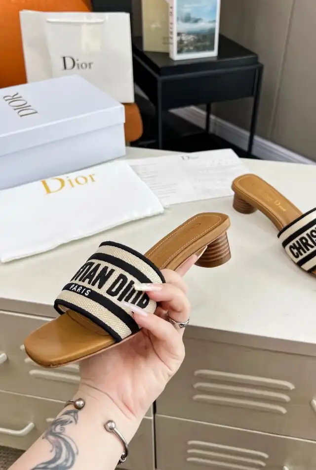 hype Christian Dior Slippers