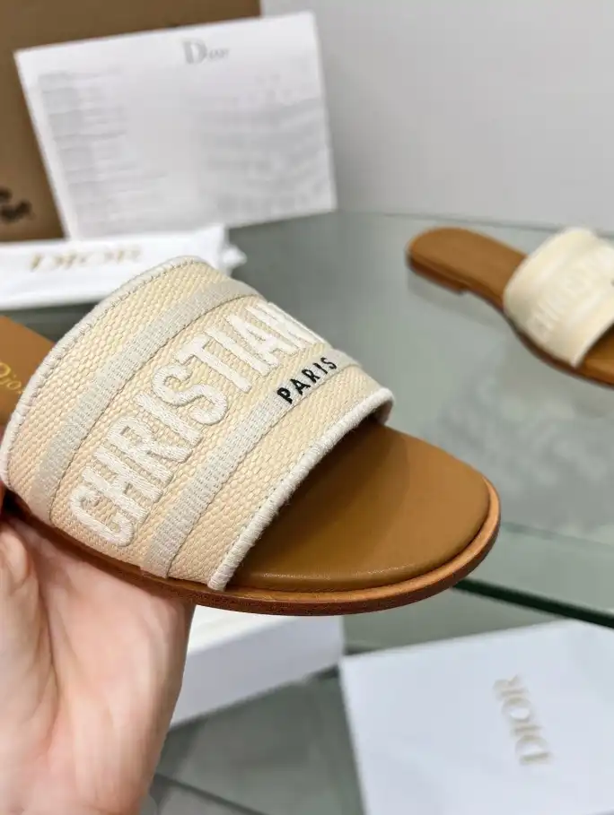 hype Christian Dior Slippers