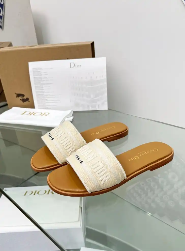 hype Christian Dior Slippers