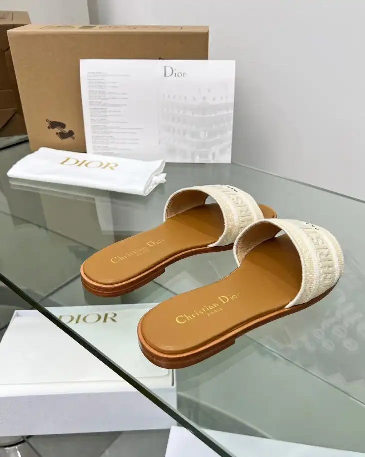 hype Christian Dior Slippers