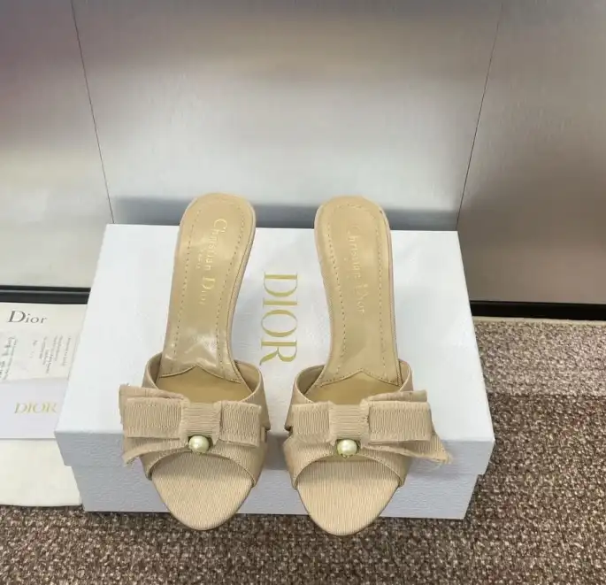 hype Christian Dior Slippers