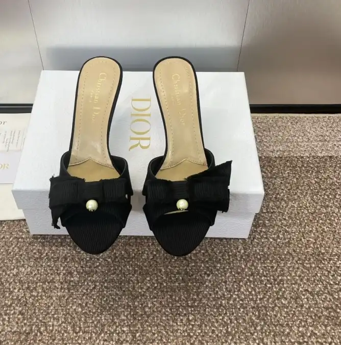 hype Christian Dior Slippers