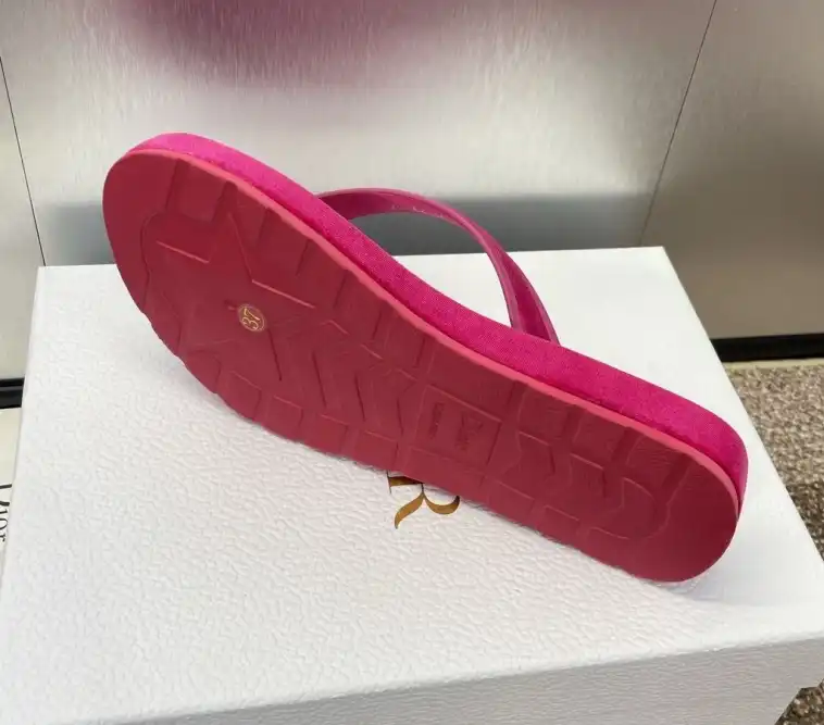 hype Christian Dior Slippers