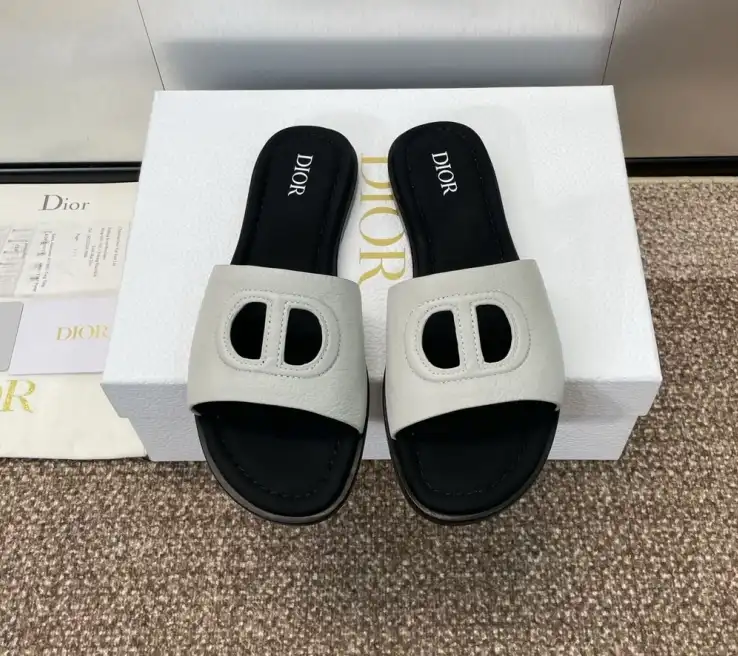 hype Christian Dior Slippers