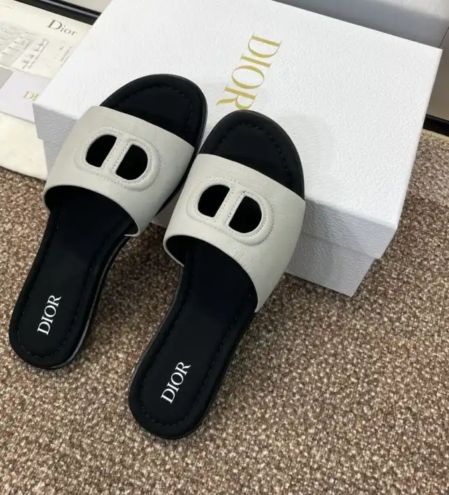 hype Christian Dior Slippers