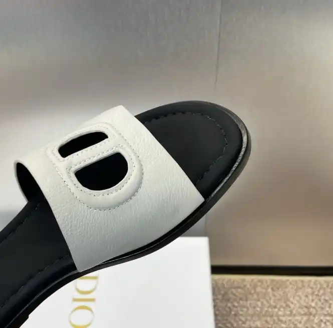 hype Christian Dior Slippers