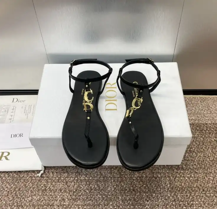 hype Christian Dior Slippers