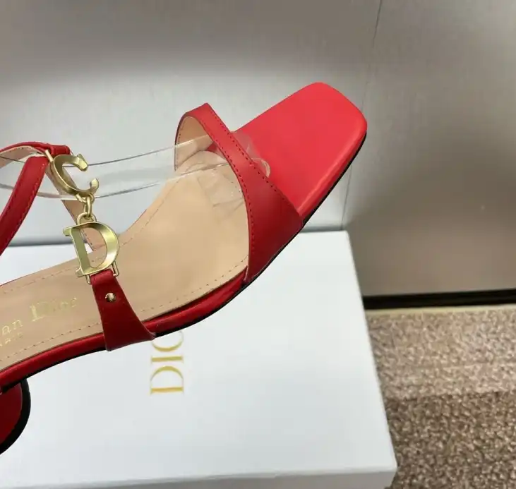 hype Christian Dior High Heels