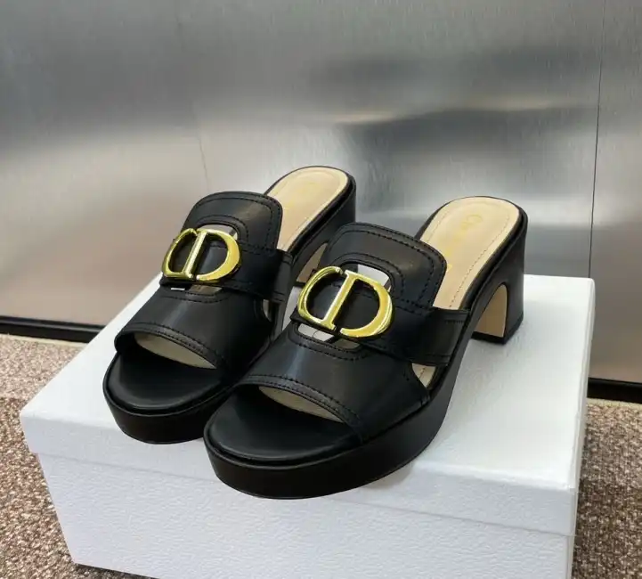 hype Christian Dior Slippers