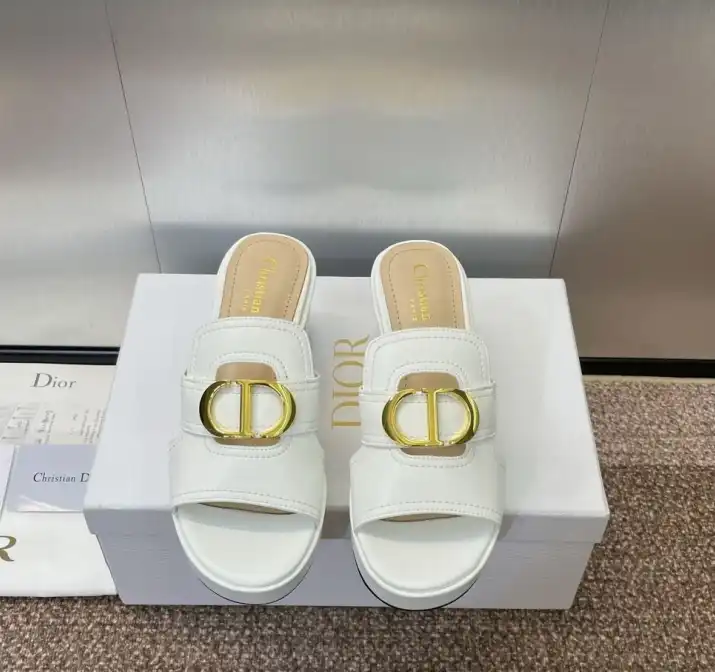 hype Christian Dior Slippers