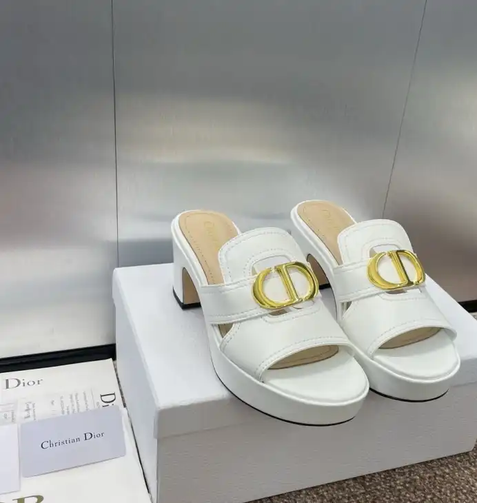 hype Christian Dior Slippers