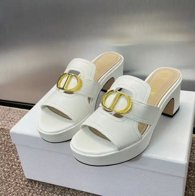 hype Christian Dior Slippers