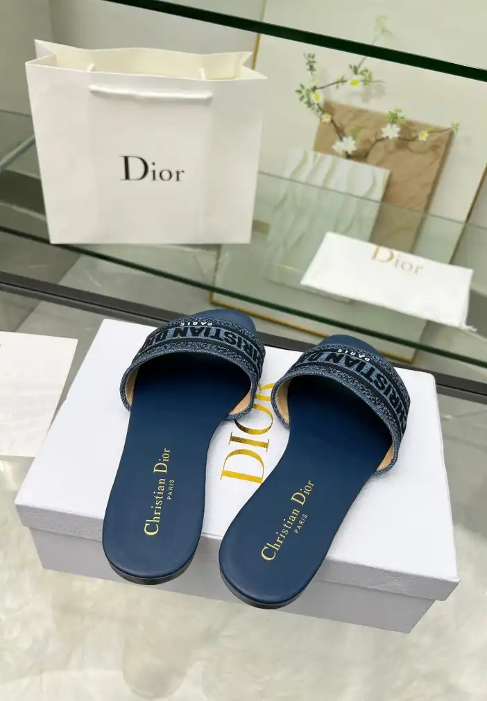 hype Christian Dior Slippers