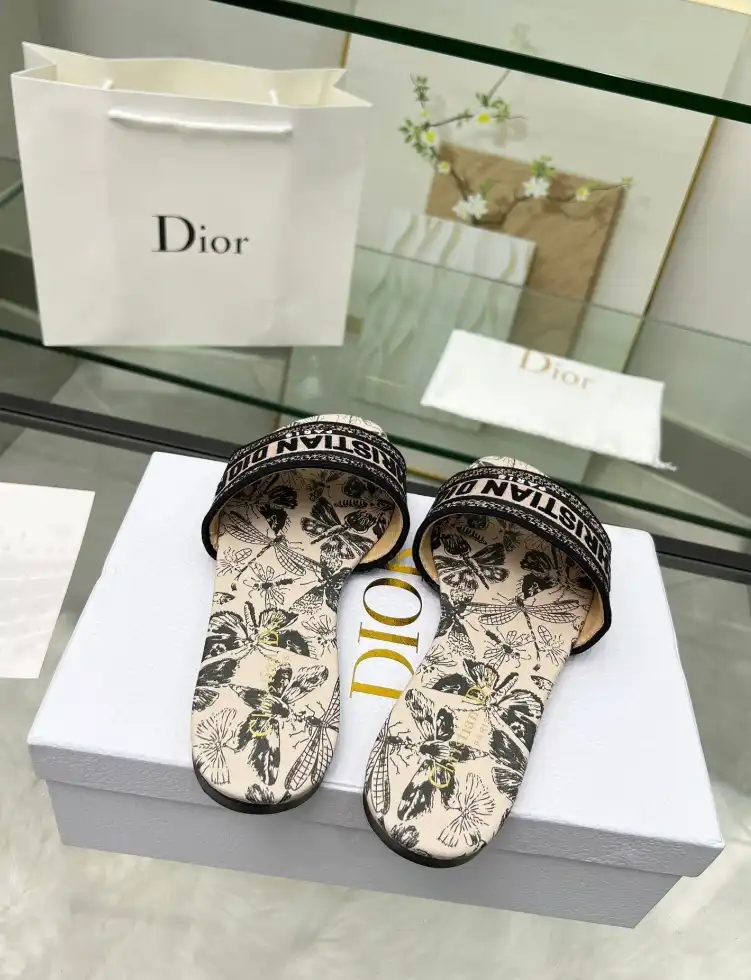 hype Christian Dior Slippers