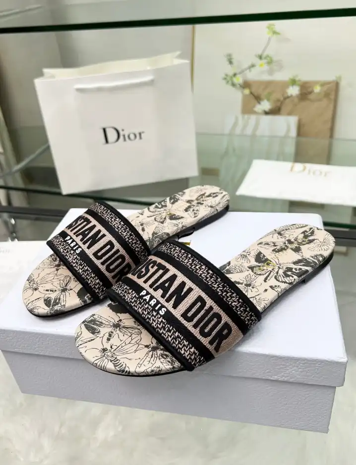 hype Christian Dior Slippers