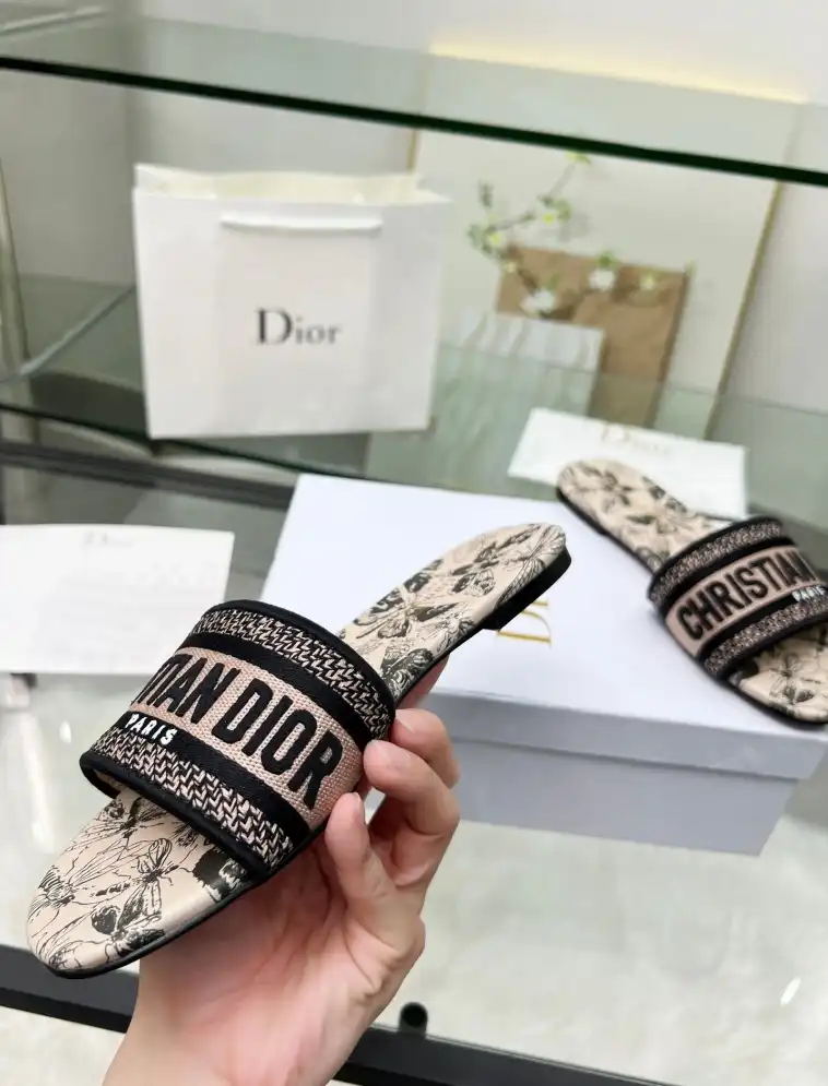 hype Christian Dior Slippers