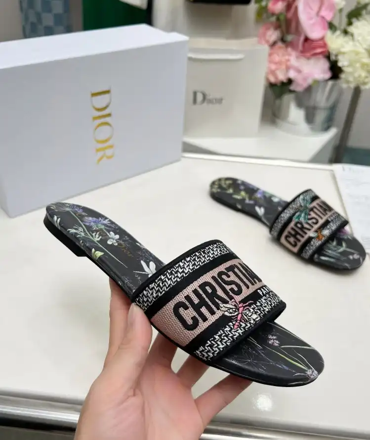 hype Christian Dior Slippers