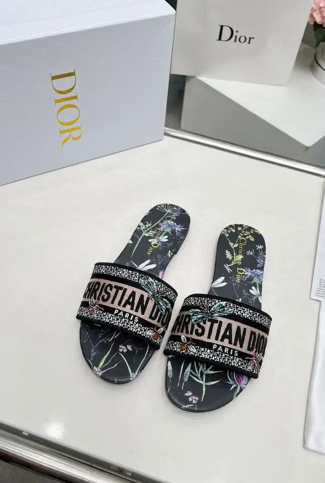 hype Christian Dior Slippers