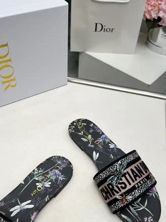 hype Christian Dior Slippers