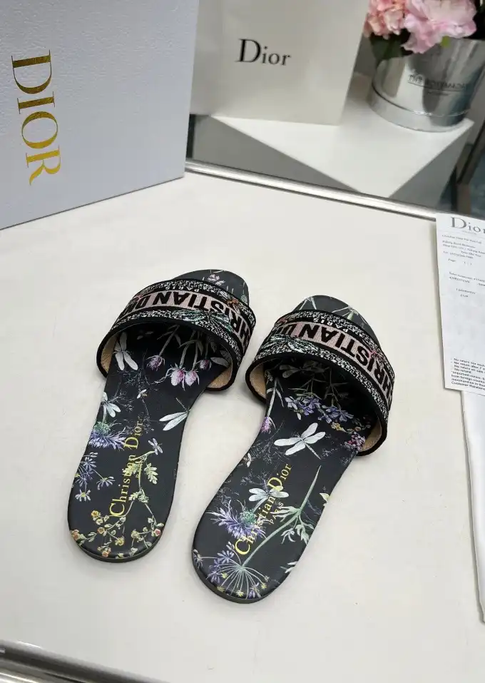 hype Christian Dior Slippers